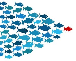 Australia's seafood industry relies on quality control during transportation.