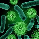 Bacteria management key to ensuring food safety