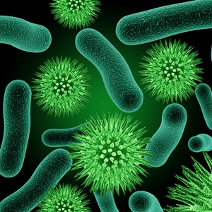 Bacteria and microbes are a constant concern in the food industry.