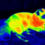 How does thermography work?