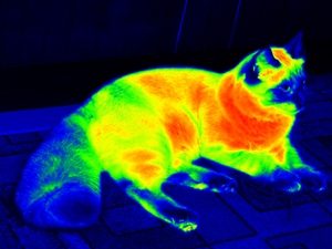 How does thermal imaging equipment work?