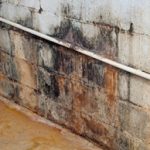 How can building managers assess the risks of mould growth?